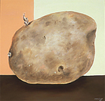 White Potato